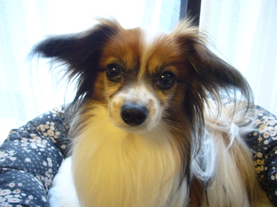 e0100046_2129229.jpg