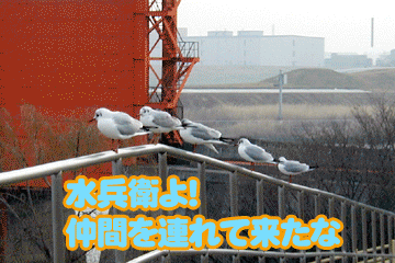 c0098148_10565038.gif