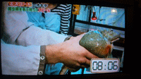 c0200849_18285559.gif