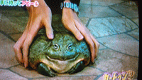 c0200849_18313778.gif