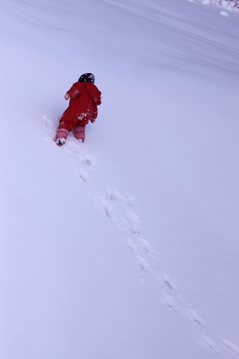 f0218159_2013390.jpg