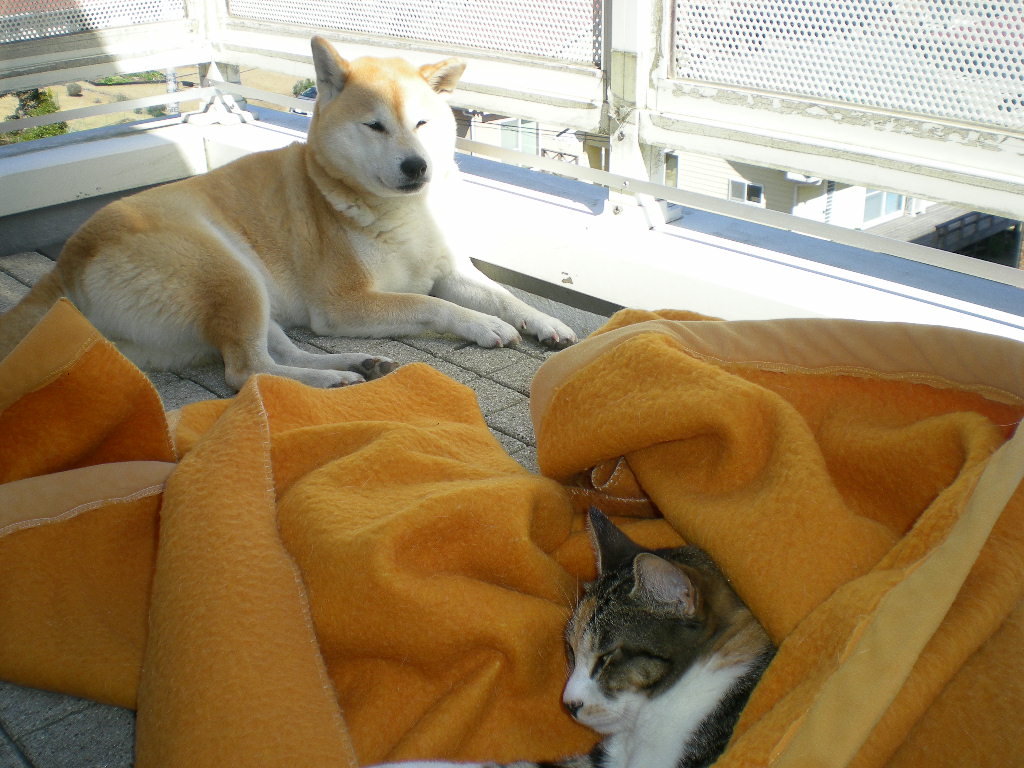 2010年3月11日(木)やっと、春~!_f0060461_13312337.jpg