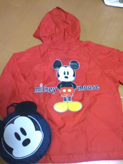 TDR グッズ_a0143570_005234.jpg