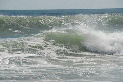 f0182571_18383943.gif