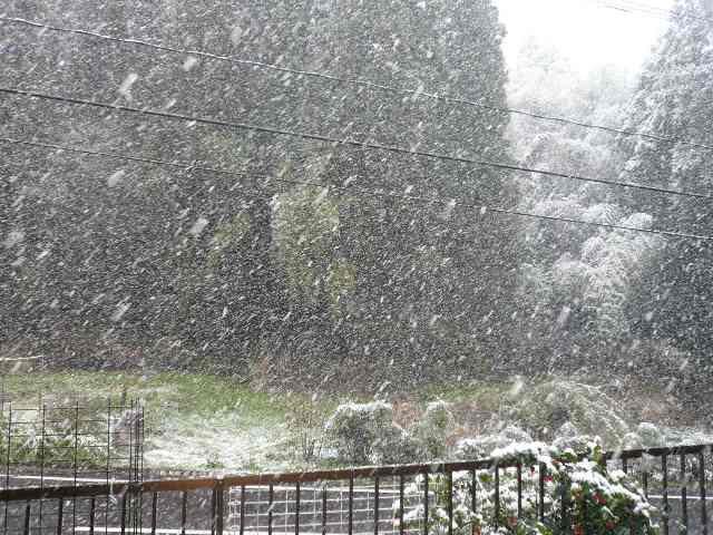 f0048372_011445.jpg