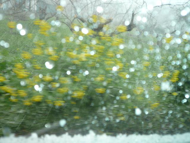 f0048372_011471.jpg