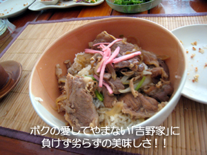 ザ・兄弟舟! 日本食バンザイ!!_f0144385_15254778.jpg