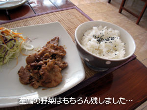 ザ・兄弟舟! 日本食バンザイ!!_f0144385_15281022.jpg