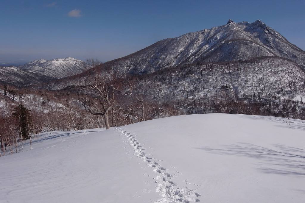 3月11日、オコタンペ山その1_f0138096_16263072.jpg