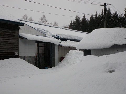 a0138198_11372076.jpg