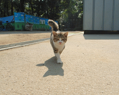 c0072801_2193041.gif
