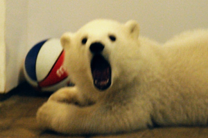 c0093301_1044257.jpg