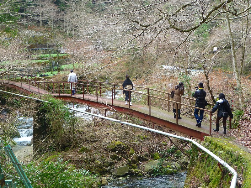 f0182513_125517.jpg
