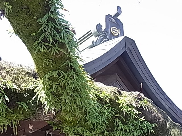 c0223117_122774.jpg