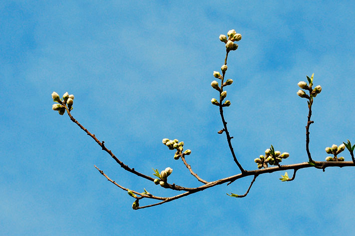 c0016718_22421979.jpg