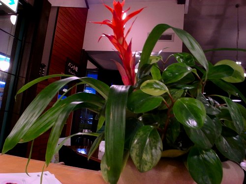 e0111719_2318662.jpg