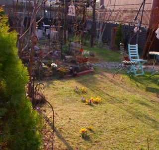 f0170524_1336495.jpg