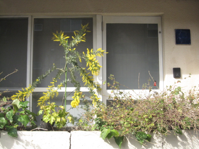 f0180433_2339079.jpg