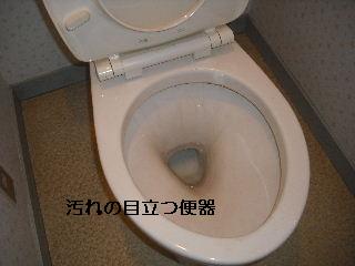 定期管理・・午前肉体労働・午後頭脳労働少々_f0031037_17303274.jpg