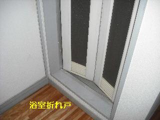 定期管理・・午前肉体労働・午後頭脳労働少々_f0031037_17304344.jpg