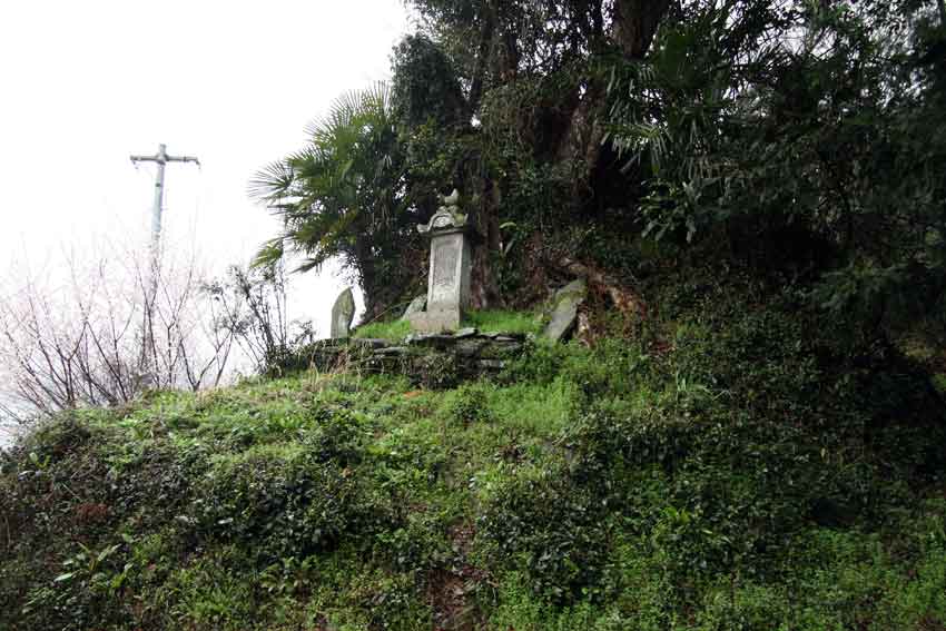 「阿波忌部の聖地を巡るツアー」　白人神社♪_d0058941_2104483.jpg