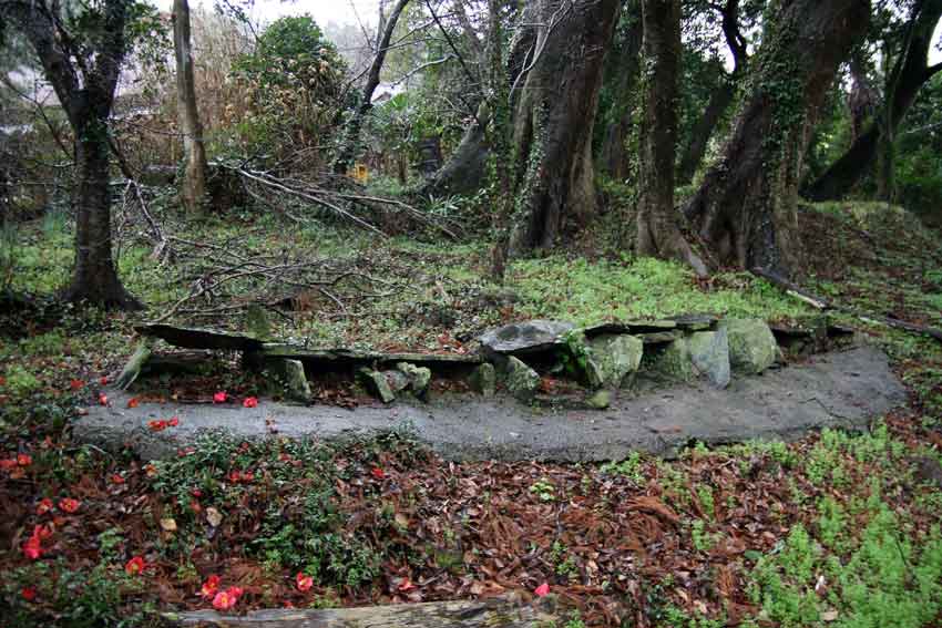 「阿波忌部の聖地を巡るツアー」　白人神社♪_d0058941_2122209.jpg