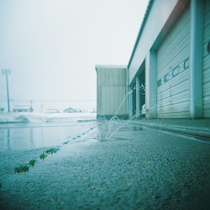 e0006242_109425.jpg