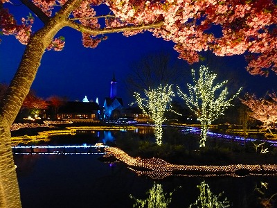 なばなの里～ウィンターイルミネーション＆河津桜まつり～_c0035843_15445516.jpg