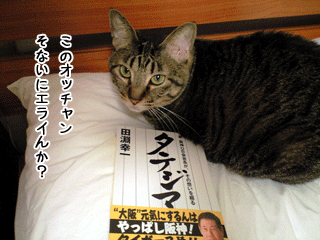 f0116546_1792013.gif