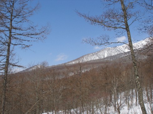 c0037553_16373025.jpg