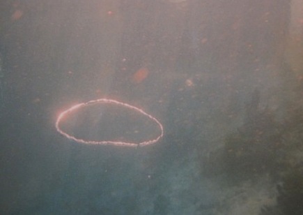 b0173754_11104284.jpg