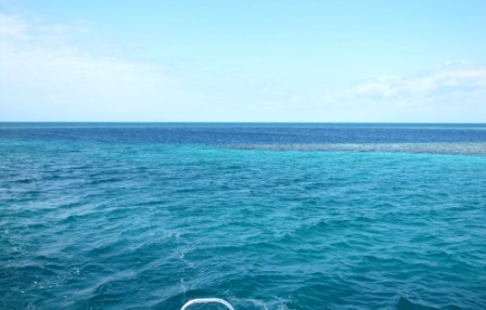 b0173754_11154067.jpg