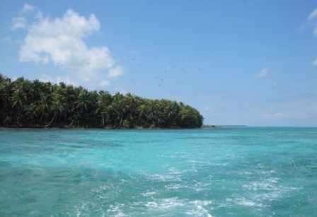 b0173754_111936100.jpg