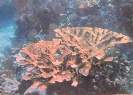 b0173754_1175259.jpg