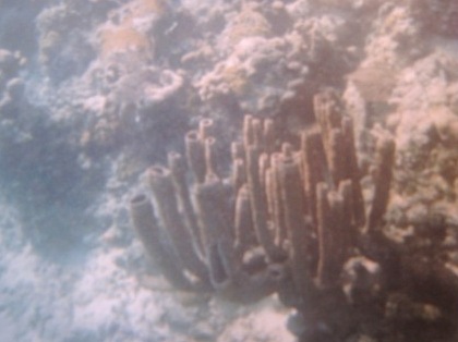 b0173754_1185677.jpg