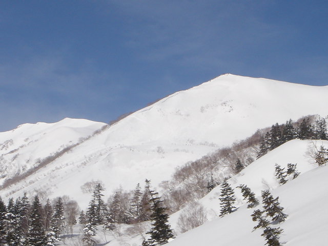 f0209354_19244472.jpg