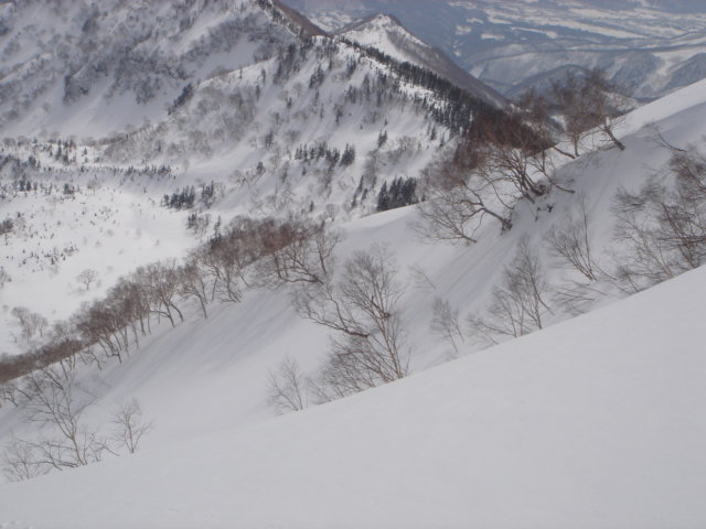 f0209354_19274735.jpg