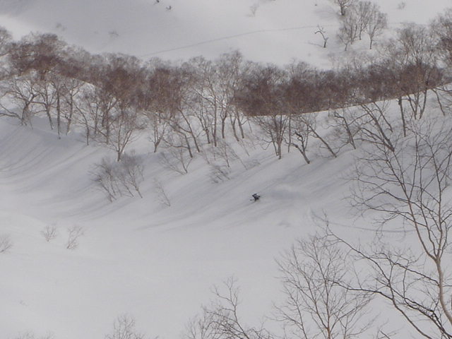 f0209354_19285987.jpg