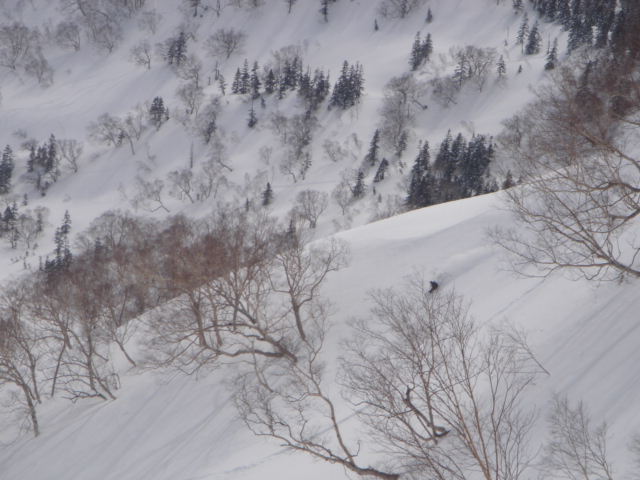 f0209354_19351311.jpg