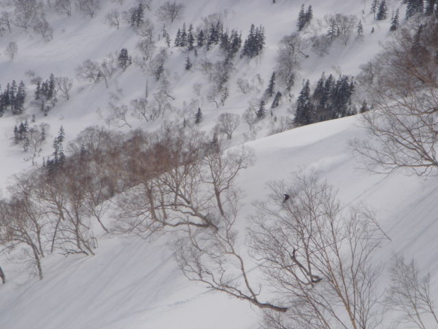 f0209354_19352464.jpg