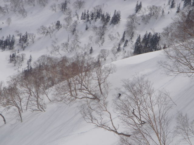 f0209354_19353634.jpg