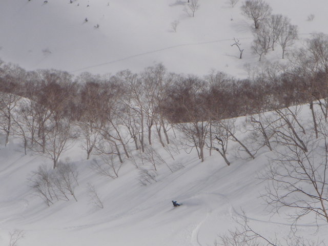 f0209354_19355941.jpg