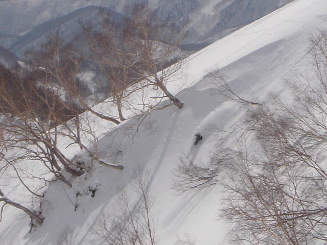 f0209354_19381852.jpg