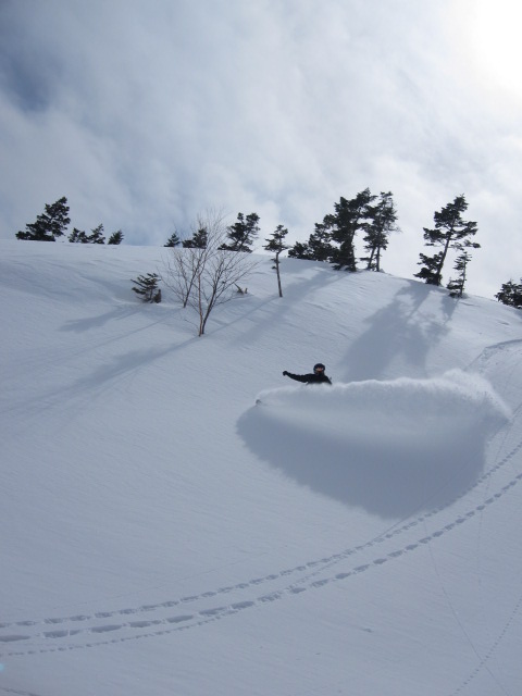 f0209354_194026.jpg