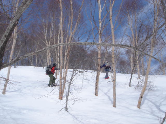 f0209354_19423421.jpg