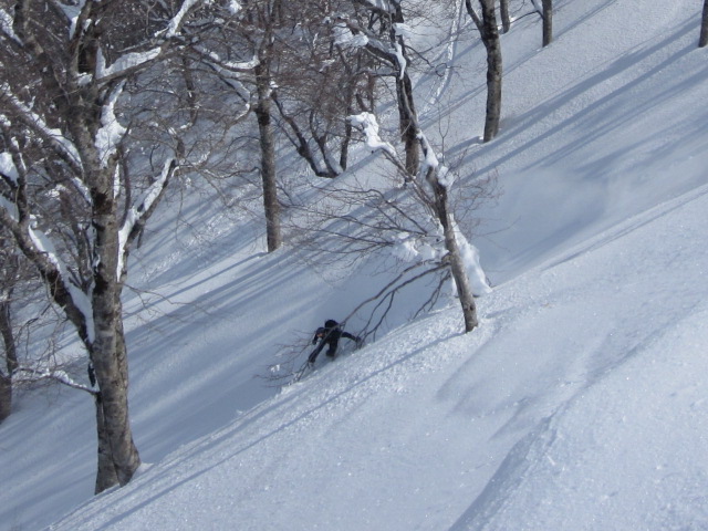 f0209354_19452357.jpg
