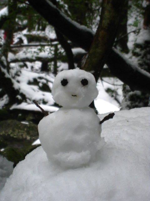 雪の白谷~らんらん~そしてトークライブお知らせです。_b0160957_829165.jpg