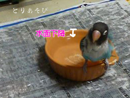 チェーーック!!_e0147757_2310950.jpg