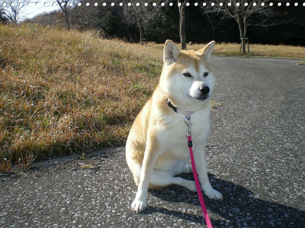 2010年3月12日(金)今日も盛大に春なのよ~!_f0060461_9505181.jpg
