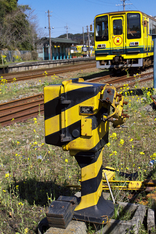 いすみ鉄道と菜の花（３月１１日）_c0057265_423131.jpg